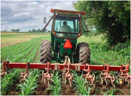 Ministry of Agriculture and Rural Development image
